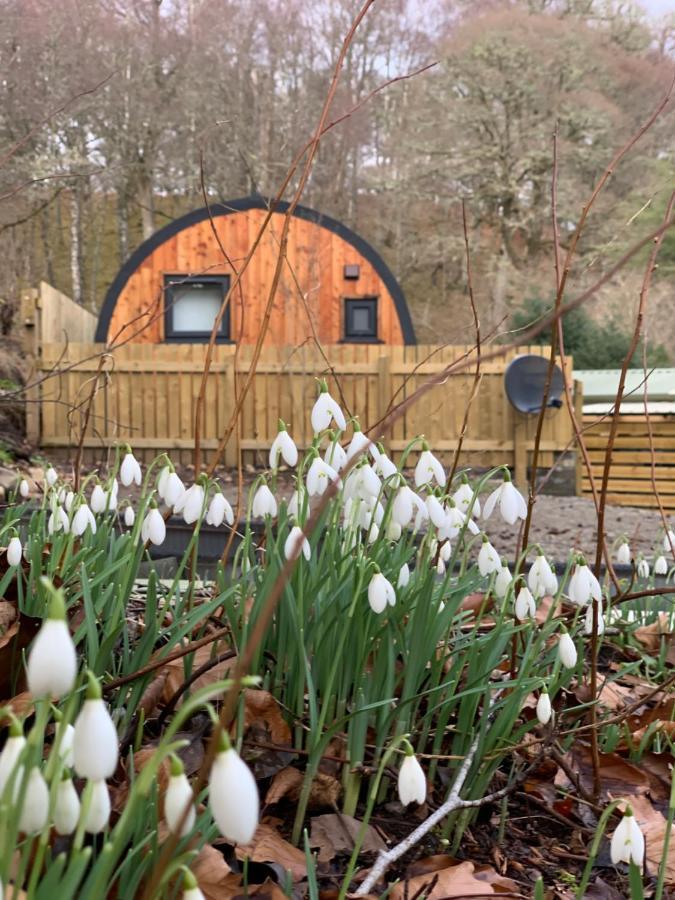 Loch Ness Woodland Pods Hotel ดรัมนาดรอคิท ภายนอก รูปภาพ