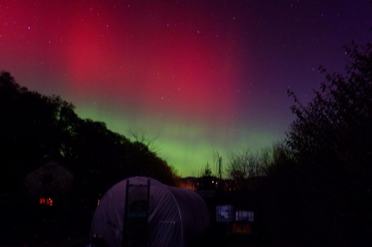 Loch Ness Woodland Pods Hotel ดรัมนาดรอคิท ภายนอก รูปภาพ