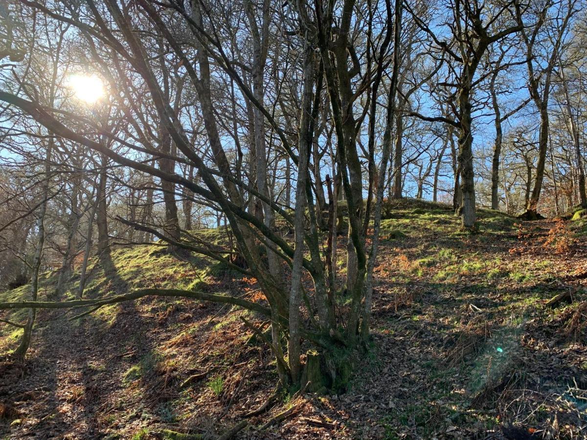 Loch Ness Woodland Pods Hotel ดรัมนาดรอคิท ภายนอก รูปภาพ