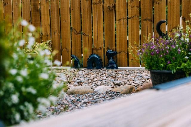 Loch Ness Woodland Pods Hotel ดรัมนาดรอคิท ภายนอก รูปภาพ